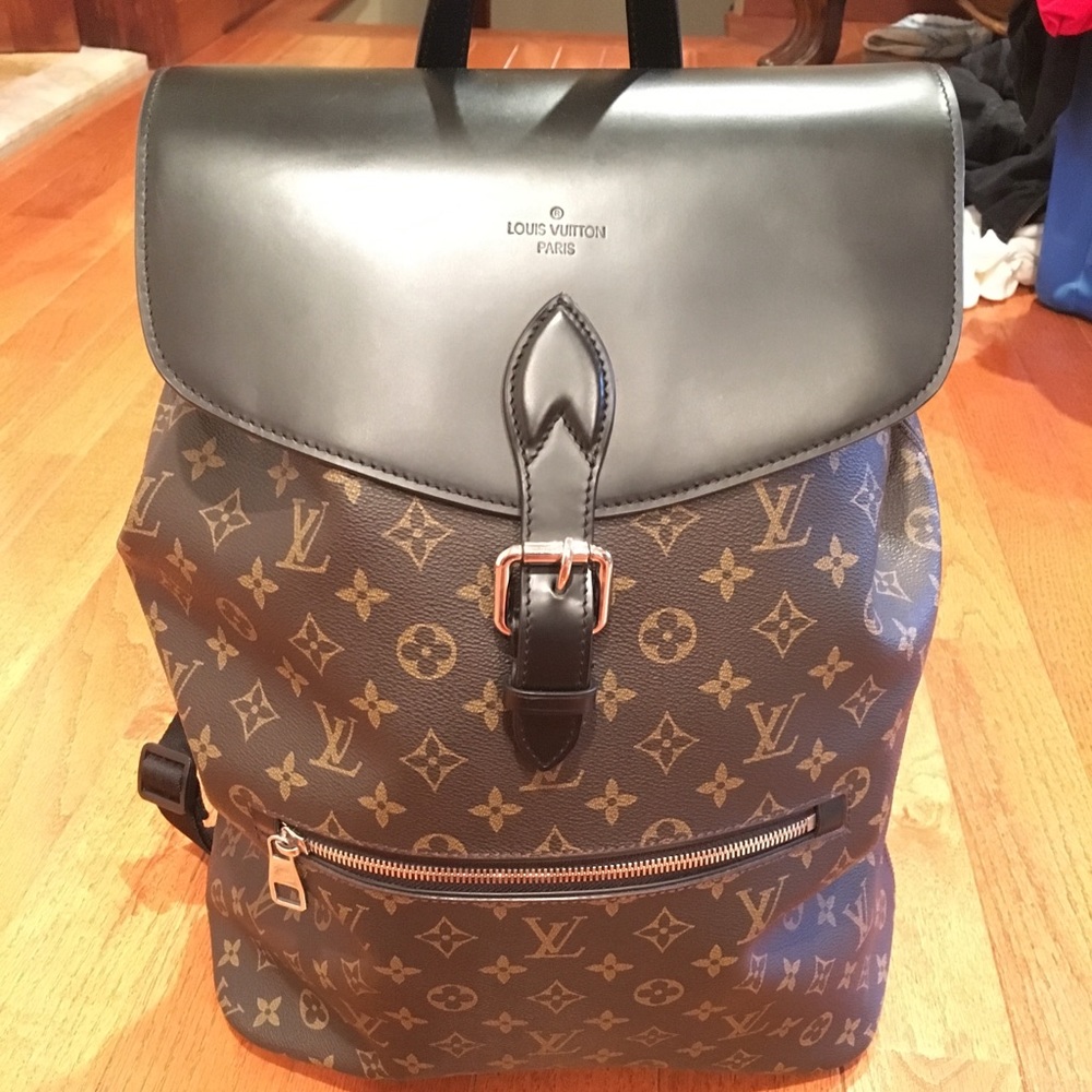Louis Vuitton palk backpack